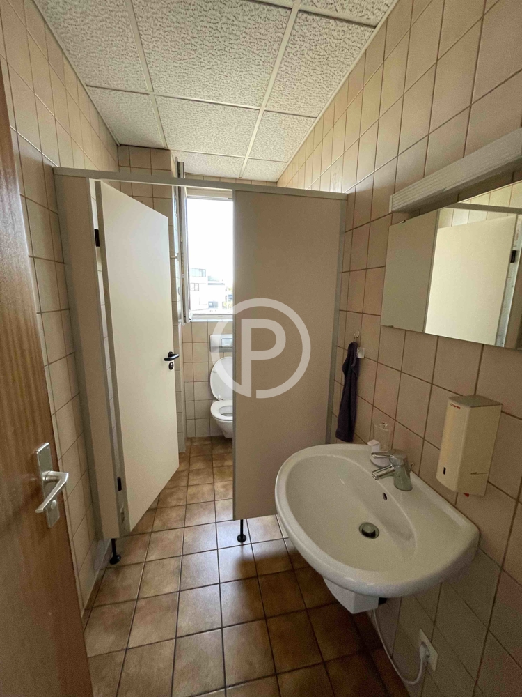 OG WC