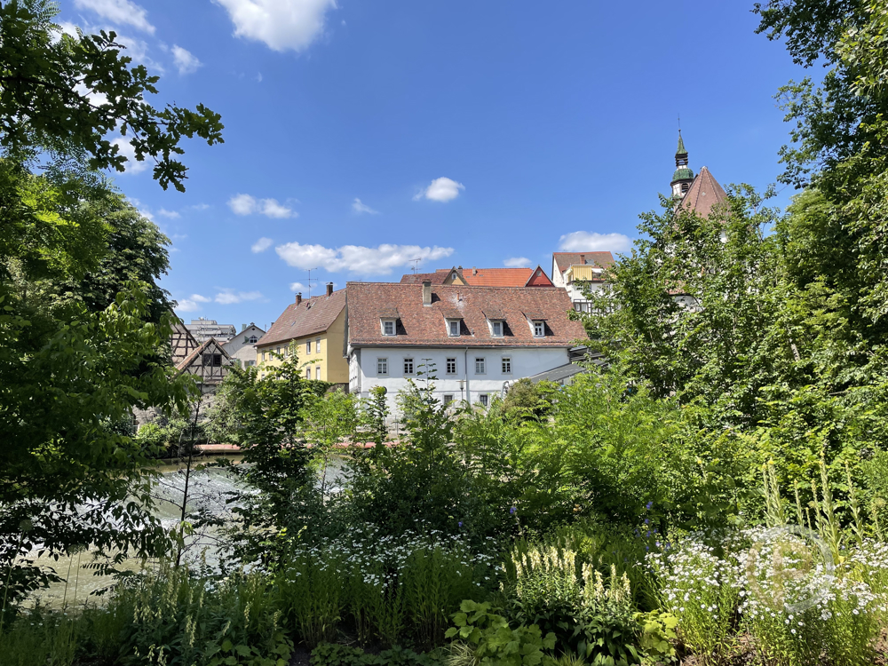Impressionen - Remsblick